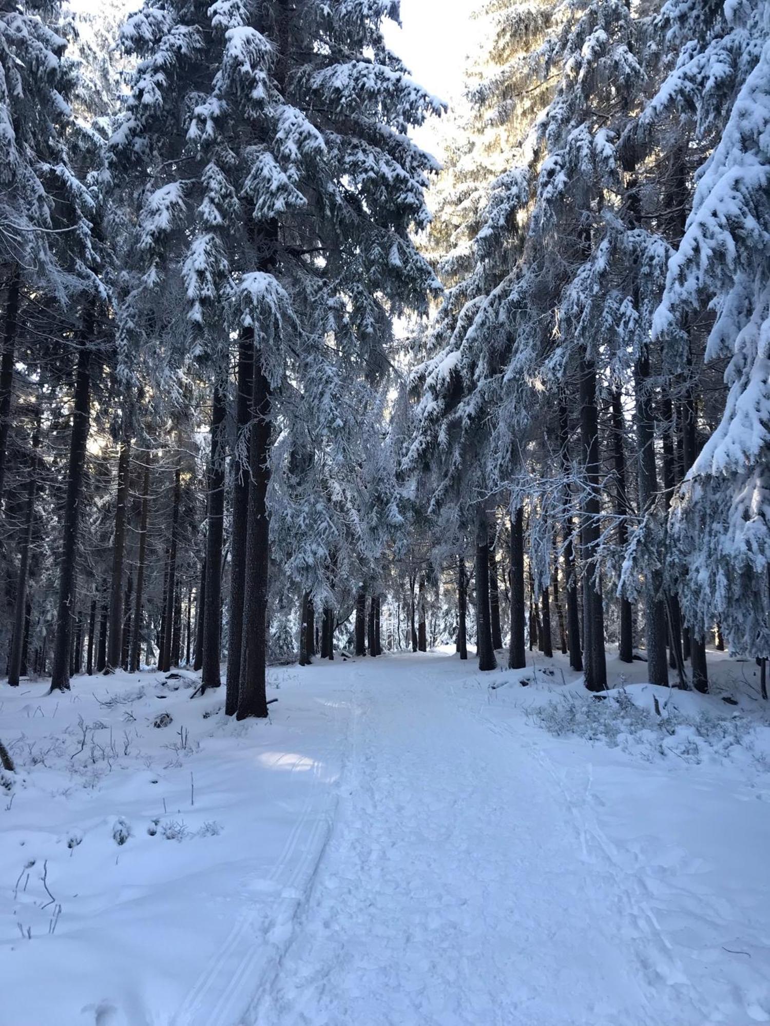 Utulny Apartman U Mumlavskych Vodopadu Harrachov Exterior foto