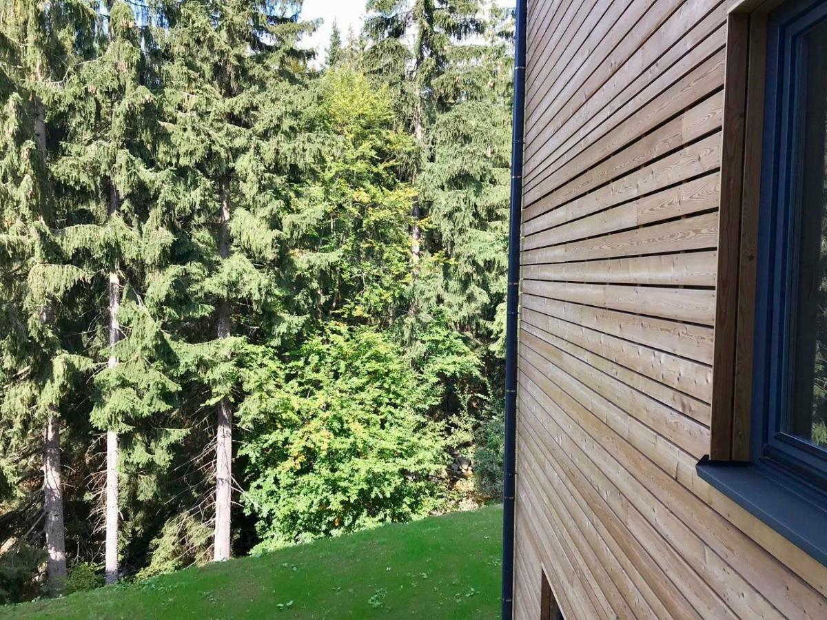 Utulny Apartman U Mumlavskych Vodopadu Harrachov Exterior foto